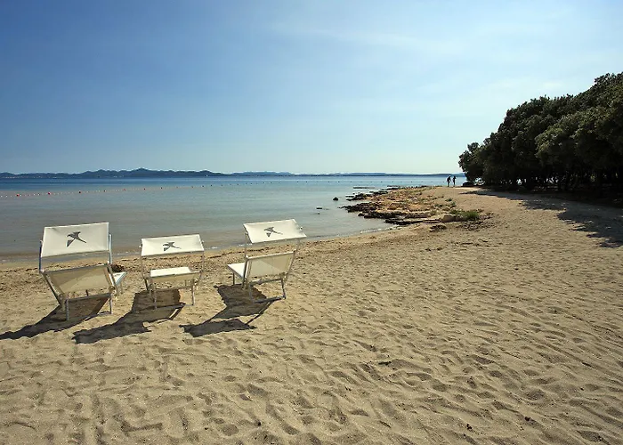 法肯斯特尼狄亚多拉家庭酒店 酒店